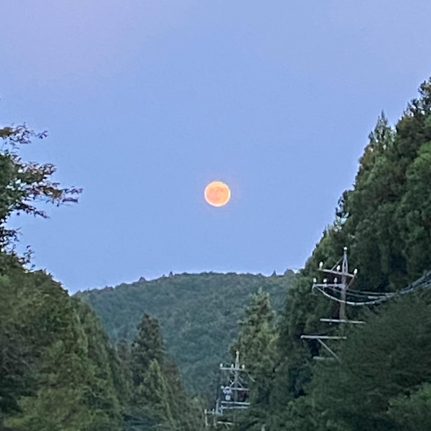 Instagram写真