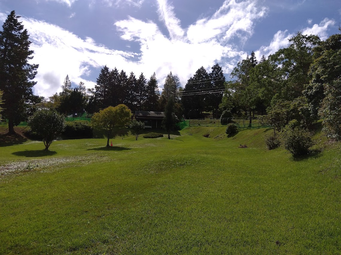 ドッグラン風景1